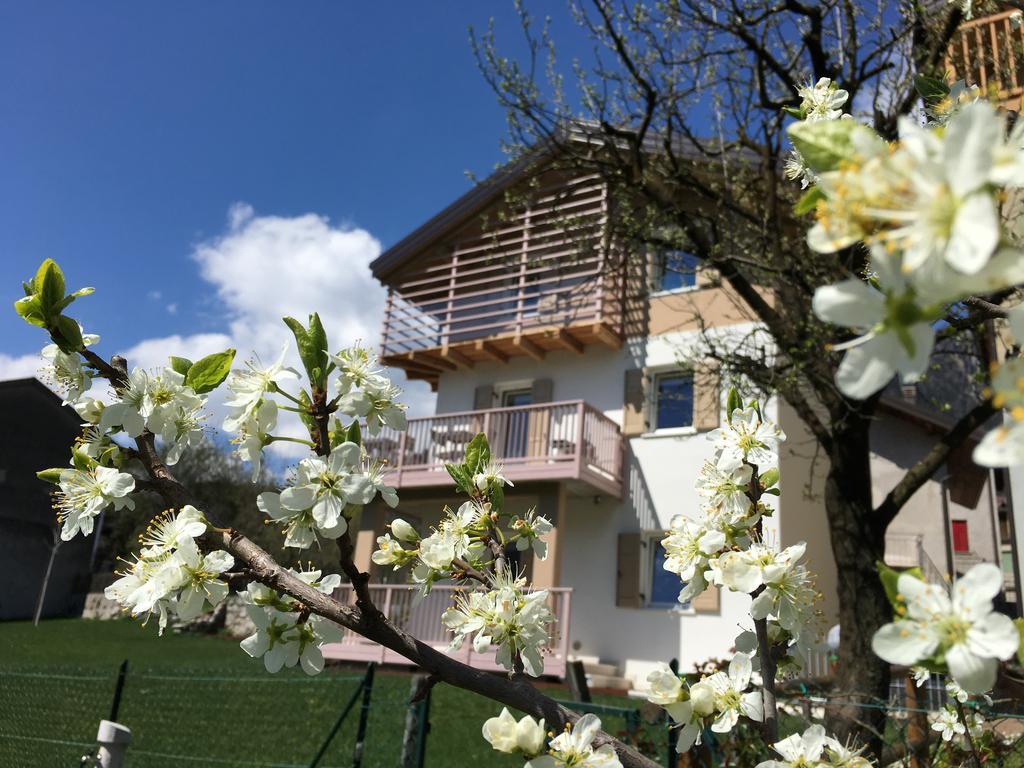 B&B Il Piccolo Principe Room And Breakfast Bieno  Eksteriør bilde